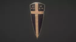 Curve Kite Shield