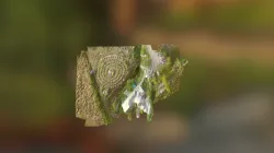 DD - Mavic First Mapping Attempt