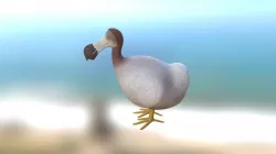 Dodo