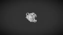 DOG skull