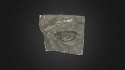 Eye
