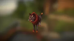 Fire Cat