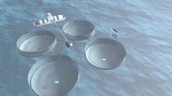 Fisketest2