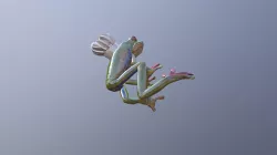 Freedom From Soup - Frog Chef