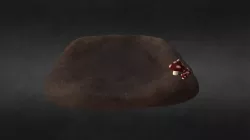 Ground Plane