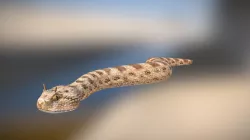 Horned viper