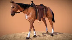 Horse Animation