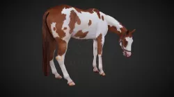 Horse - pose5