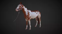 Horse - pose7