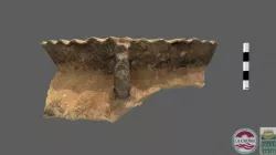 Koshkonong Bold v Bold