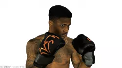 Mikael the Boxer