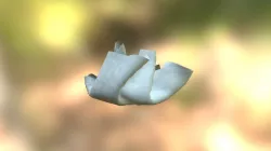 Paper