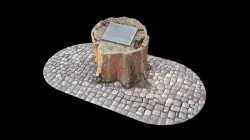 Pe-et Elm
