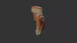 Pierna