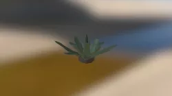 Plante