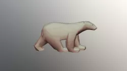 Polar Bear