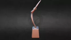 Pp