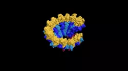 Protein complex – Bioassembly