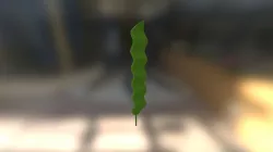 Seaweed (MEL)
