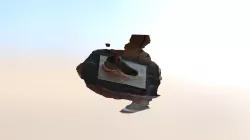 shoe3