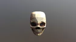 Skull