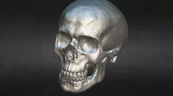 Skull ZB Master 4 Mil Dec