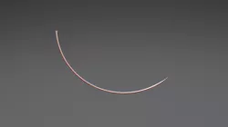 Suture Needle