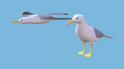 Two Seagulls