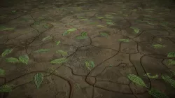 Vine leafs