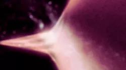 Vortex