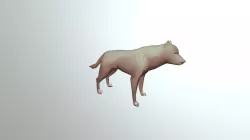 Wolf 3D So Cool