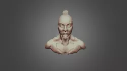 ZRemesher - Human Bust