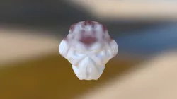 Bionicle head?