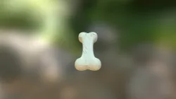 Bone