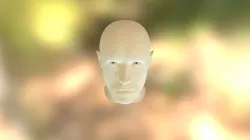Cabeza de humanoide