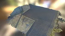 Cammo1