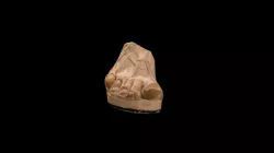 Colossal foot