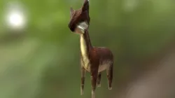 Deer Textured