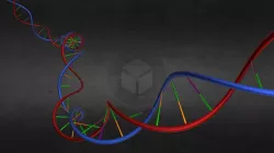DNA Smoother Mesh