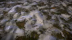 Grass & Snow PBR Material 4k Free
