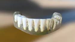 GW's False Teeth, Bottom Half (VCU_3D_2132)