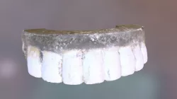 GW's False Teeth, Top Half (VCU_3D_2133)
