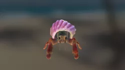 Hermit Crab