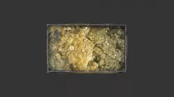 Horn-park-fossil-pavement-B
