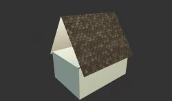 House Color