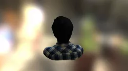 Human Bust
