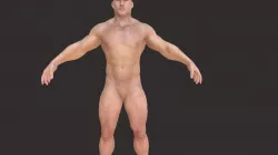 Human test