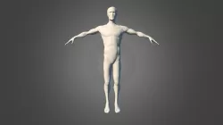 Life Model