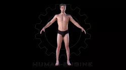 Male Scan - Dan