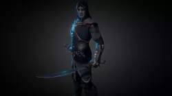 Medieval Assasin
